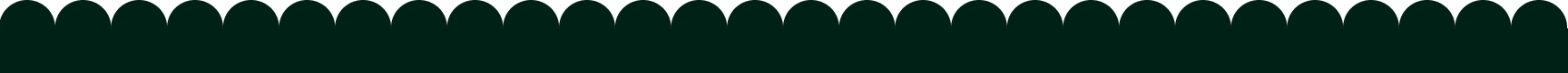 Scalloped Border Pattern